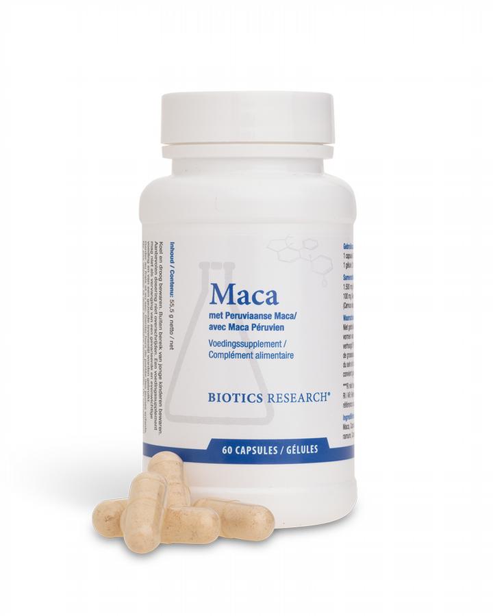 Maca