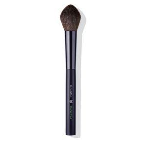 Blusher brush