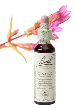 Bach Gentian/gentiaan