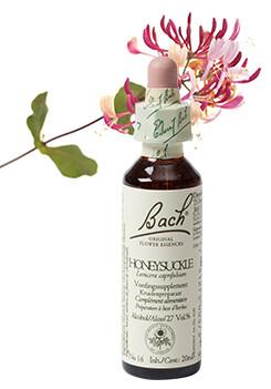 Bach Honeysuckle/kamperfoelie