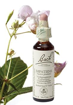 Impatiens/reuzebalsemien