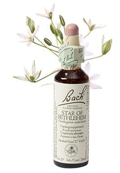 Bach Star of Bethlehem/vogelmelk