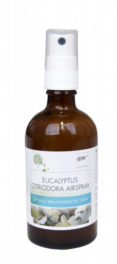 Airspray eucalyptus 100 ml