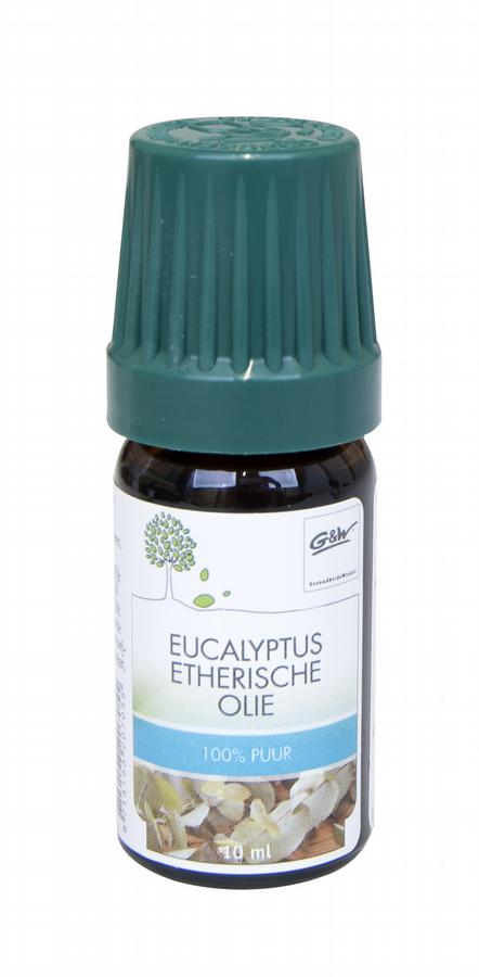 Eucalyptus olie 10ml
