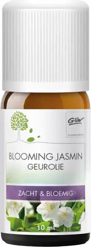 Jasmijn 10ml