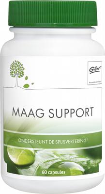G&W Maag support 60c
