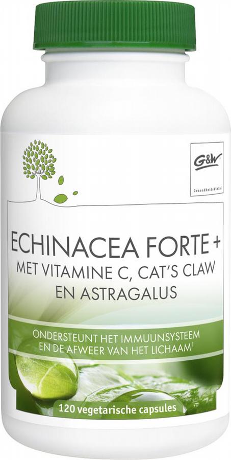 Echinacea forte plus vegetarische capsule 120 vcaps