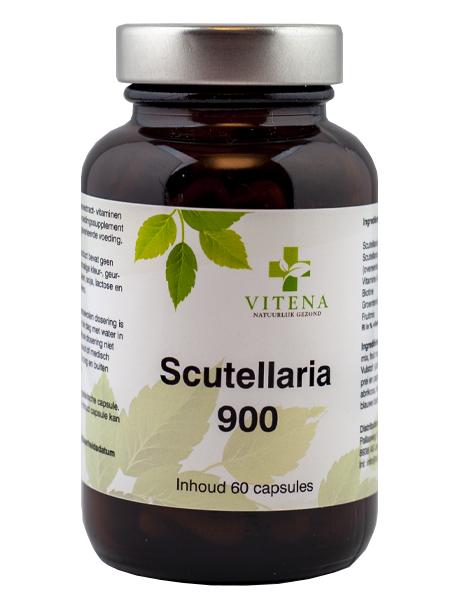 Scuttelaria 900