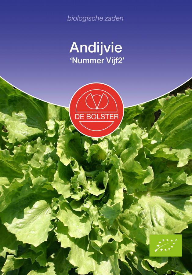 Andijvie 'nummer vijf2'