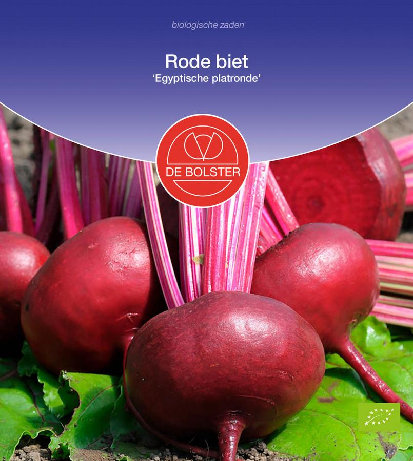 Rode biet 'egyptische platronde'