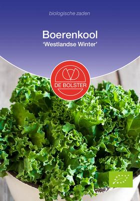 DE BOLSTER Boerenkool 'westlandse winter'