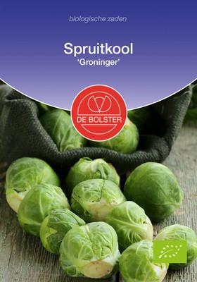 DE BOLSTER Spruitkool 'groninger'