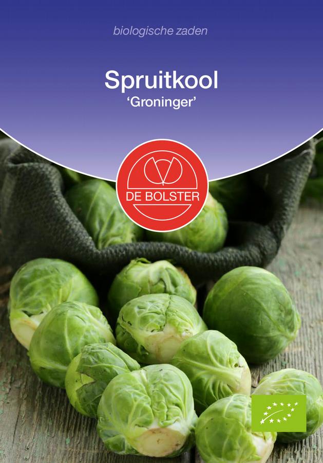 Spruitkool 'groninger'