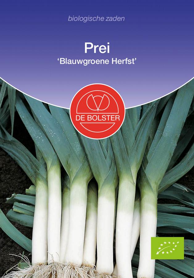 Prei 'blauwgroene herfst'