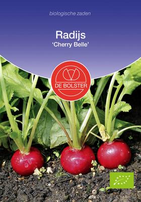 DE BOLSTER Radijs cherry belle