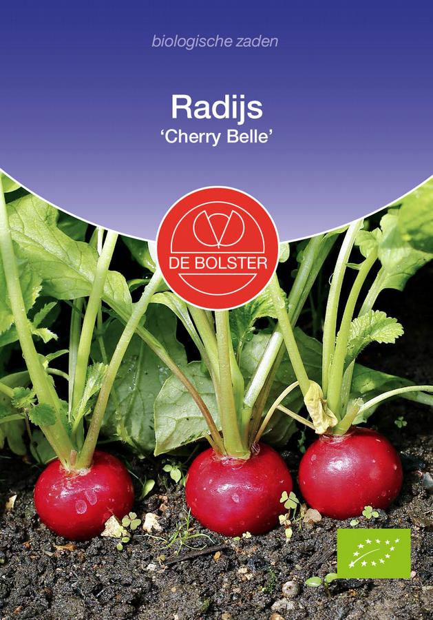 Radijs cherry belle