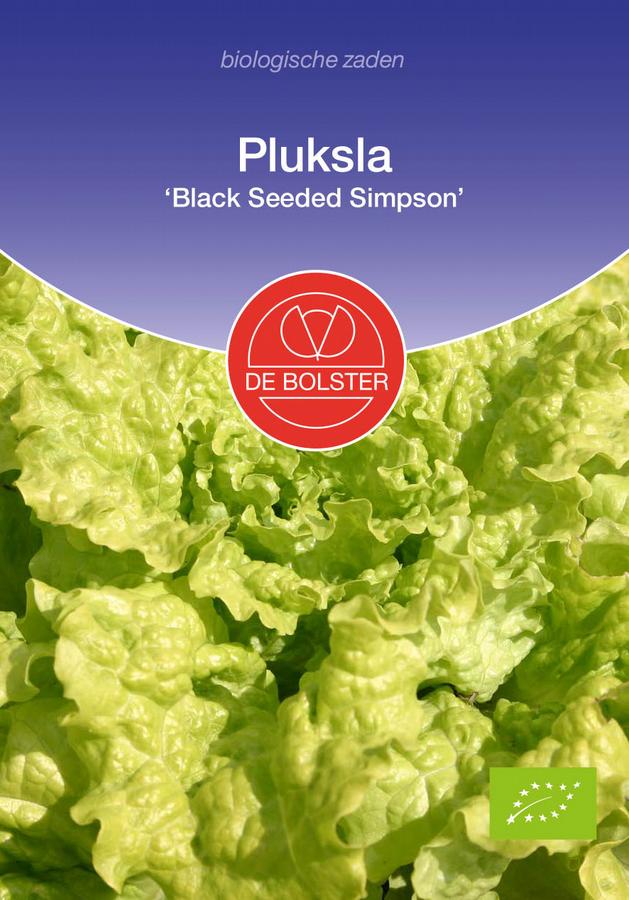 Pluksla 'black seeded simpson'