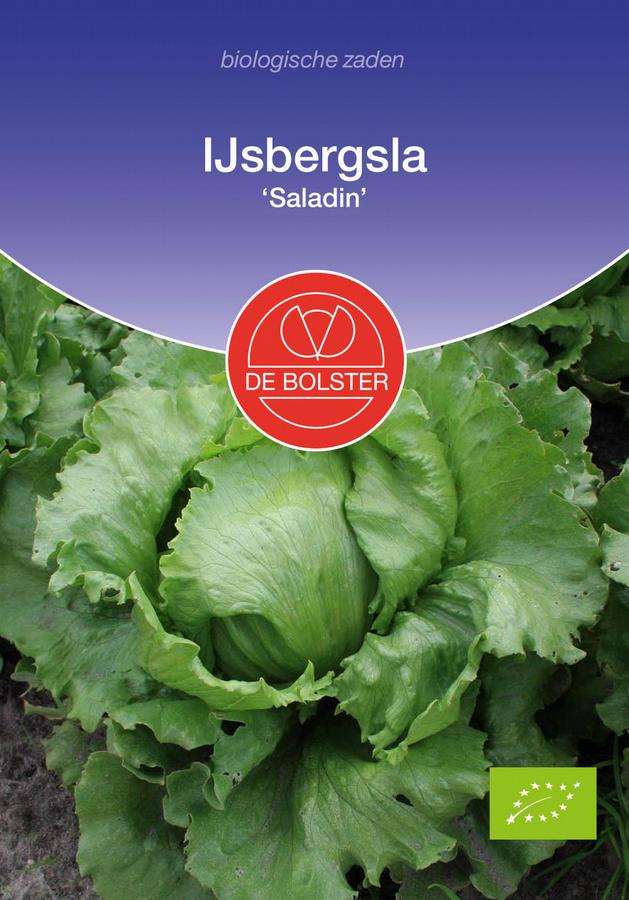 Ijsbergsla 'saladin'