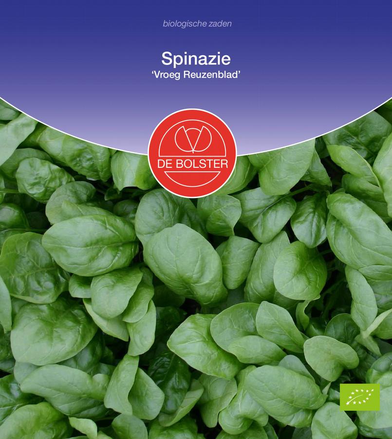 Spinazie 'vroeg reuzenblad'