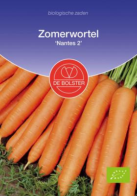 DE BOLSTER Zomerwortel 'nantes 2'