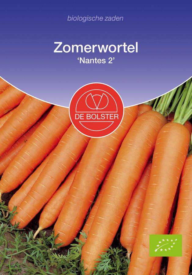 Zomerwortel 'nantes 2'