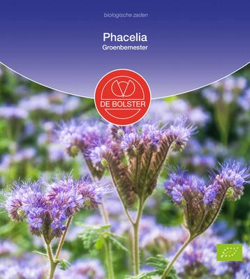 DE BOLSTER Phacelia groenbemester