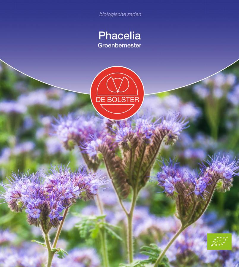 Phacelia groenbemester
