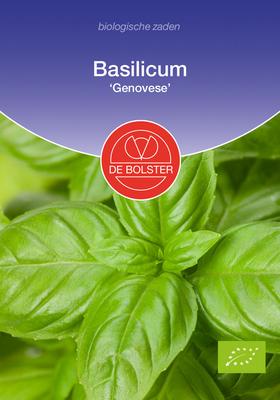 DE BOLSTER Basilicum 'genovese'