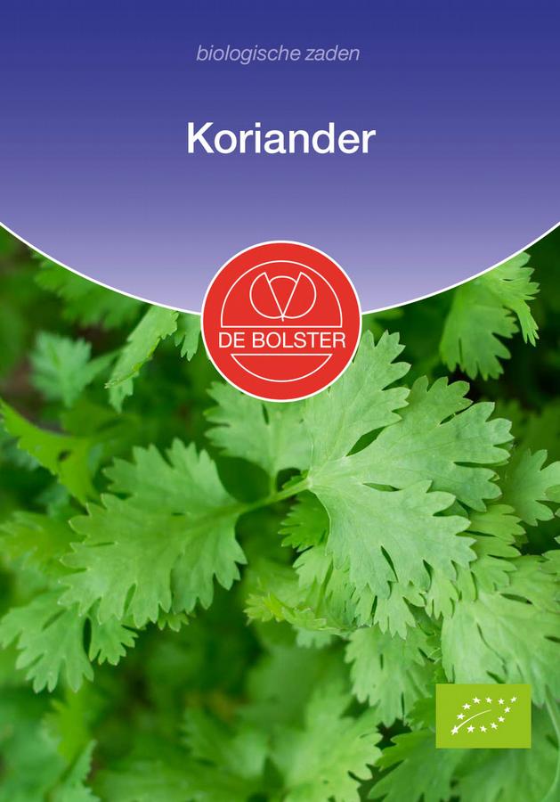Koriander