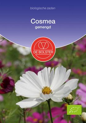 DE BOLSTER Cosmea gemengd