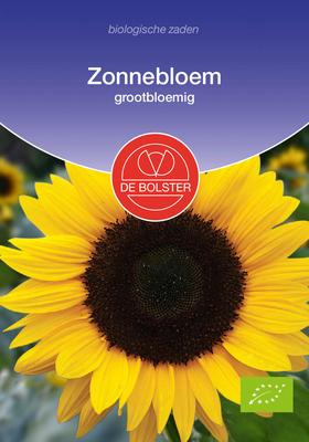 DE BOLSTER Zonnebloem grootbloemig