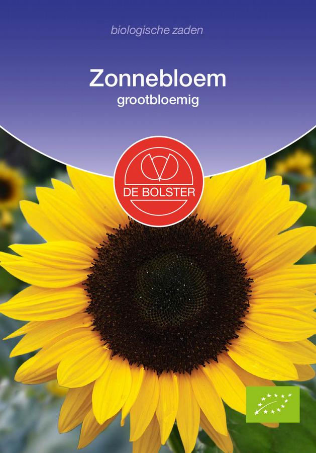 Zonnebloem grootbloemig