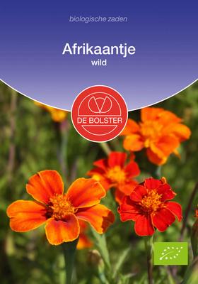 DE BOLSTER Afrikaantje wild