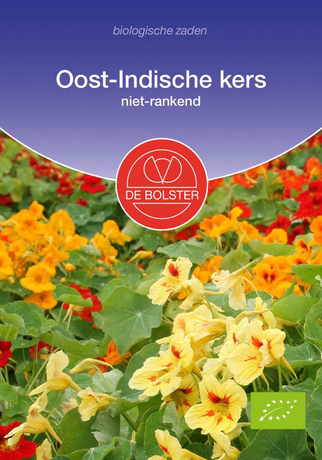 Oost-indische kers niet-rankend