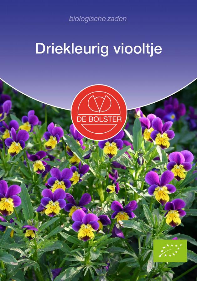 Driekleurig viooltje