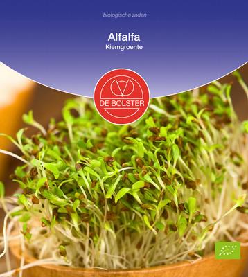 DE BOLSTER Alfalfa kiemgroente