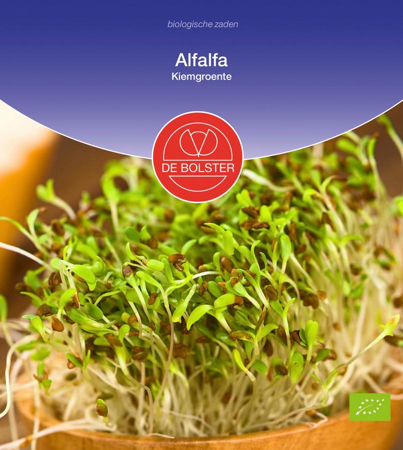 Alfalfa kiemgroente