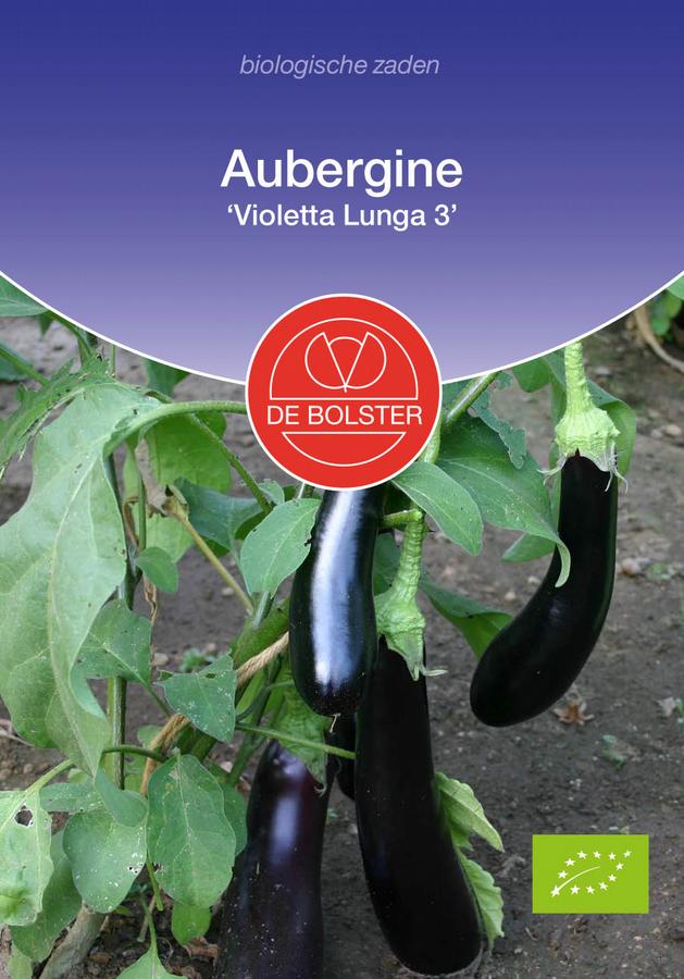 Aubergine 'violetta lunga 3'