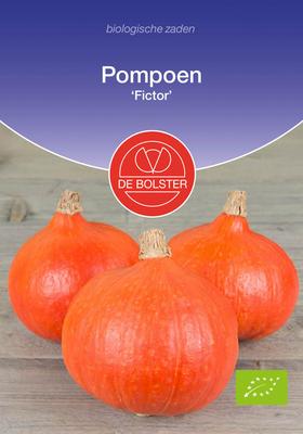 DE BOLSTER Pompoen 'fictor'