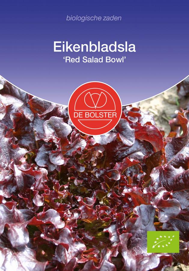 Eikenbladsla 'red salad bowl'