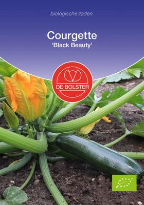 DE BOLSTER Courgette 'black beauty'