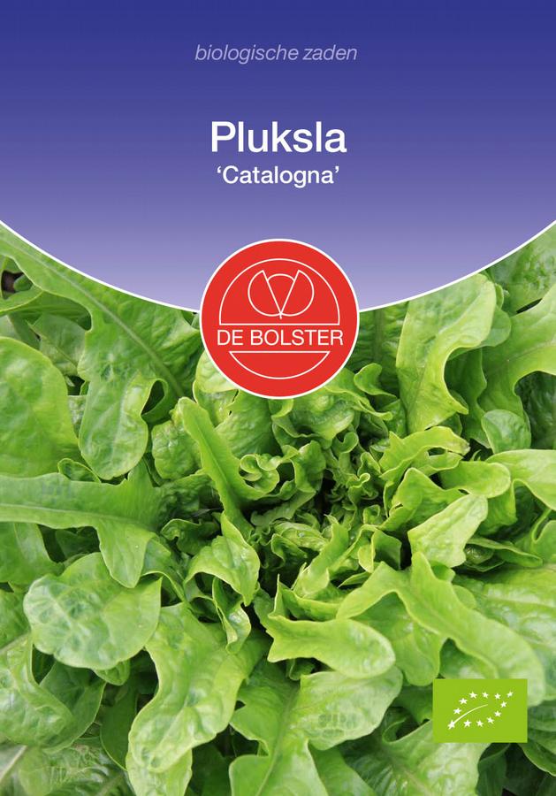 Pluksla 'catalogna'