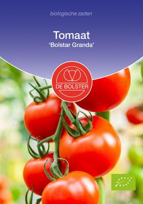 DE BOLSTER Tomaat 'bolstar granda'