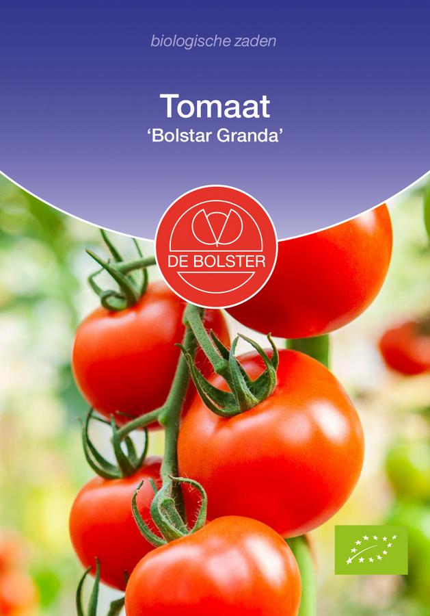 Tomaat 'bolstar granda'