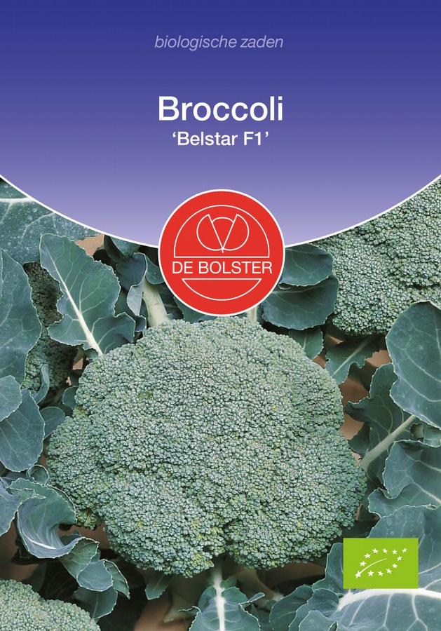 Broccoli 'belstar f1'