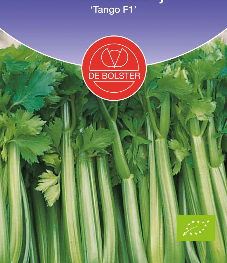 Bleekselderij 'tango f1'