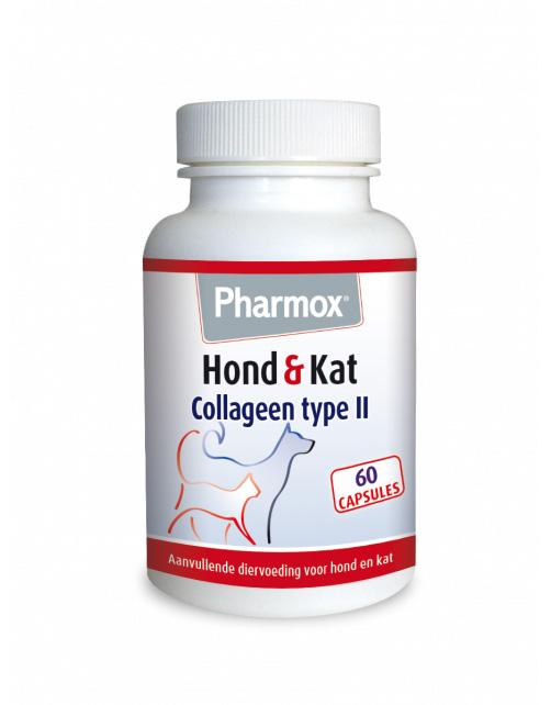 Hond & kat collageen type II
