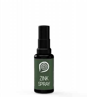 THE HEALTH FACTORY Nano Zink Spray 15 ml