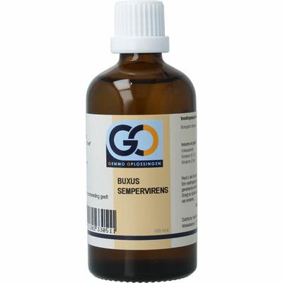 GO Buxus sempervirens bio