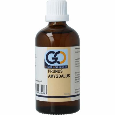 GO Prunus amygdalus bio